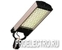 Уличный светодиодный светильник EcoWay LL-ДКУ-02-095-ХХХХ-65Д