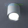 Ano-silver 21.EX.3303 Trizo 21, Outdoor lighting &gt; Ceiling lights &gt; Surface mounted