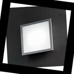 Frame 71902 Linea Light, Настенно-потолочный светильник