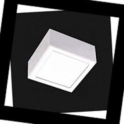 4705 Linea Light Box, Настенно-потолочный светильник