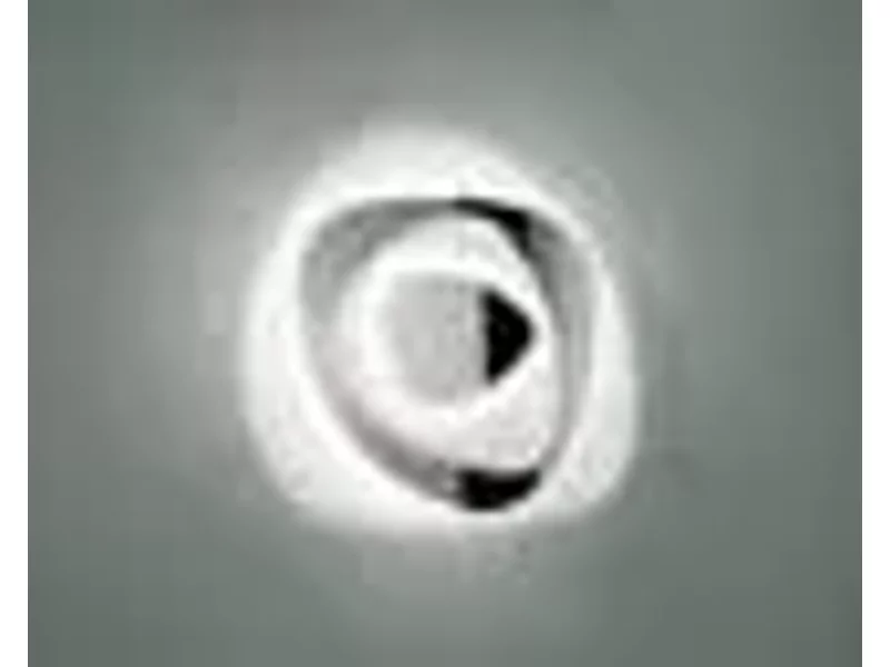 Бра Aureliano Toso 0504171363632 AIR 60 P-PL