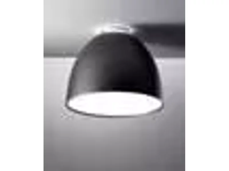 Потолочный светильник Artemide Nur mini soffitto A244200