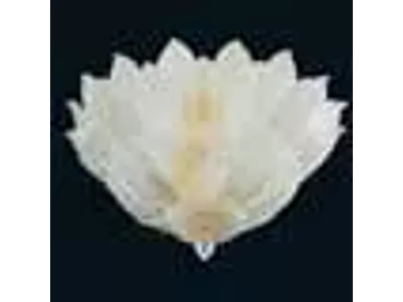 Потолочные светильники Arte Di Murano, 7463/PL48