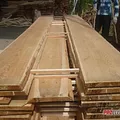Превью 1