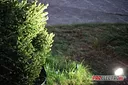 Светильник грунтовый, направленного освещения арт.9054A. Светодиодная подсветка.