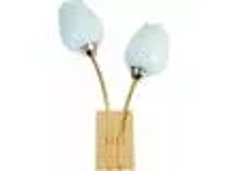 Бра Arte Tulip A8292AP-2PB