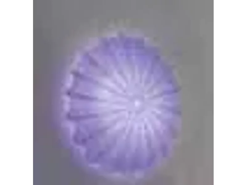 Axo Light Muse PL MUSE 40 viola PLMUSE40VIXXE27