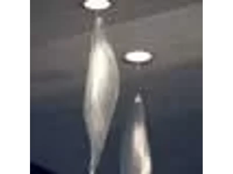 Встраиваемый светильник Artemide Cosmic Leaf incasso 1509010A