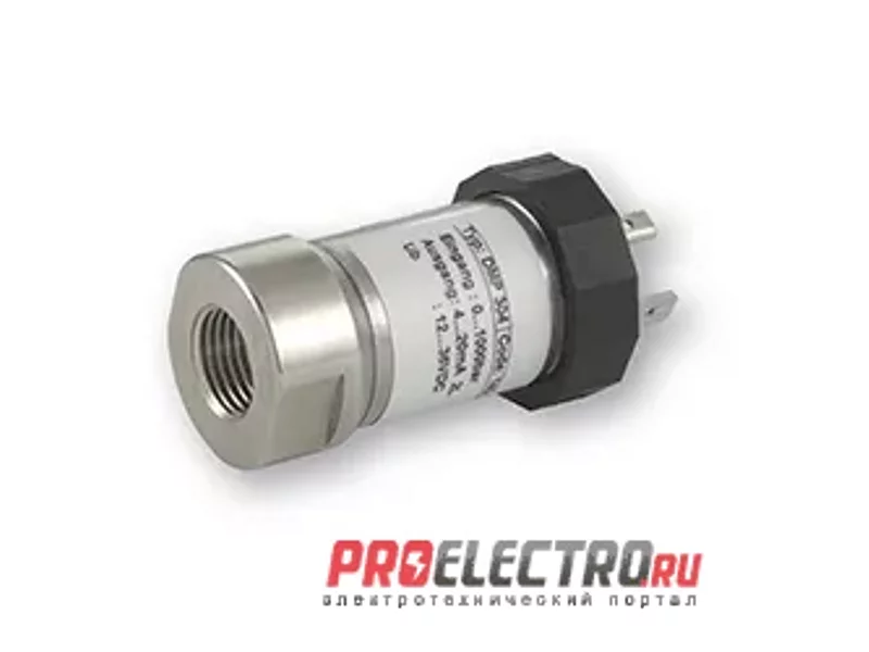 DMP 304