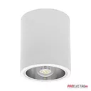 Kanlux NIKOR DLP-60-W (07210) Светильник типа downlight (направленного света)