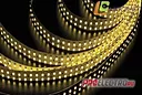 Светодиодная лента LC-3528-24WW240 IP33 теплый белый