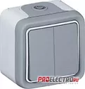 Переключатель Plexo IP55 двойной 2 направл, в сборе,накладной монтаж,сер | 69715