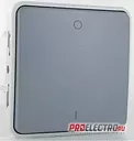 Механизм двухполюсного выключателя Plexo IP55, серый | арт. 69530 | Legrand