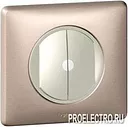 Выключатель сценарный Celiane 2-канал PLC/ИК 2х1000Вт,система In One | арт 67202