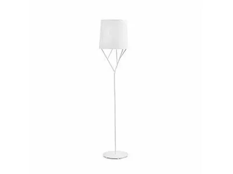 29869 Tree Faro Barcelona