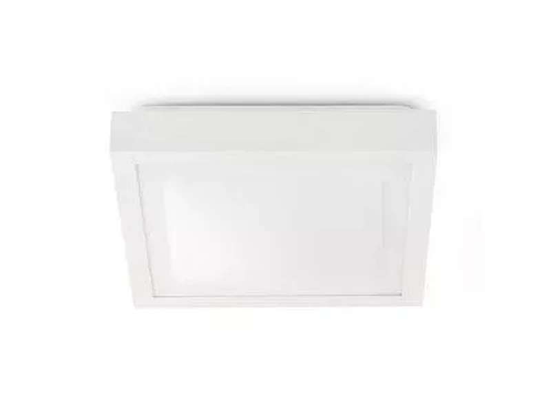 62968 Tola Faro Barcelona