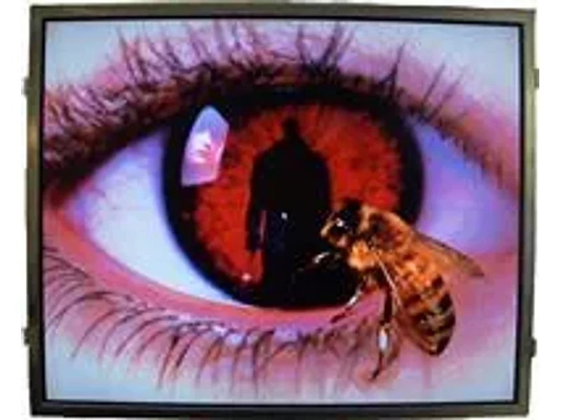 LQ150X1LGN2C Дисплей TFT- LCD 15", разрешение XGA (1024х768)