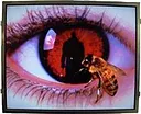 LQ150X1LGN2C Дисплей TFT- LCD 15", разрешение XGA (1024х768)
