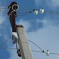 Превью 3