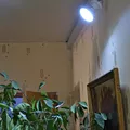 Превью 7