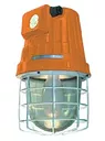 Светильник взрывобезопасный РСП 11ВЕХ-250-412, IP65, 1ExdeIICT4, "ВАТРА"