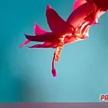 Превью 3
