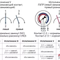 Превью 6