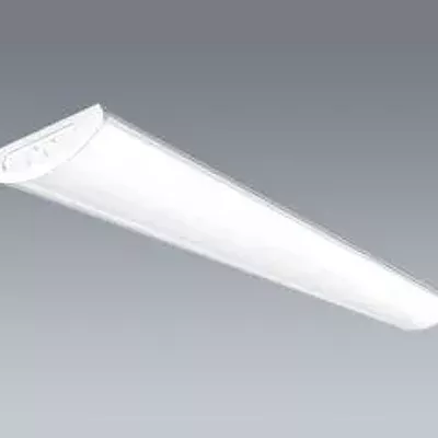 Потолочный люминесцентный светильник Plast H