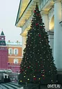 К-600 ель стволовая