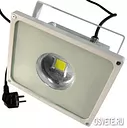 светодиодный BIOLEDEX ® 50W 60 ° 4000 Lm Дневной белый