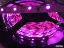 Светодиодная лента JazzWay RGB (разноцветная) 12v 5050/ 60 led на метр
