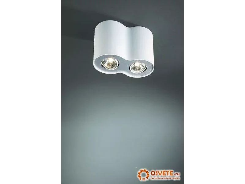 Светильник "MASSIVE" 56332-31-10 (Спот c лампой 2хGU10/50W) (Philips 56332/31/16) (10O)
