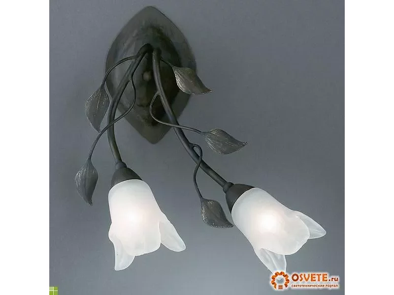 Бра wall lamps BrownBrush 2x60W Massive 38837/43/10