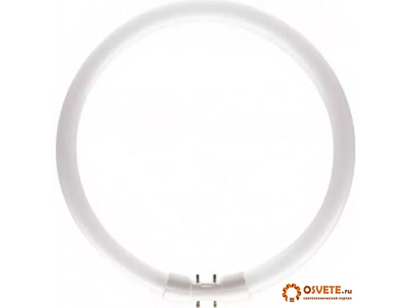Лампа Philips MASTER TL5 Circular 60W/830 1CT/10