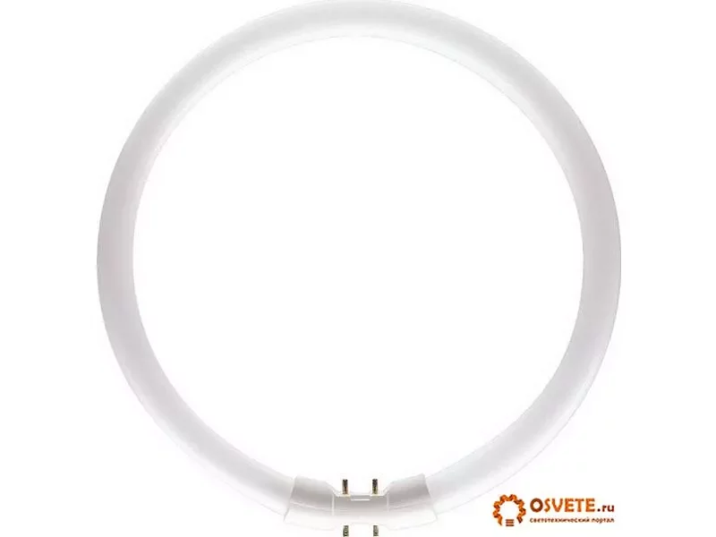 Лампа Philips MASTER TL5 Circular 40W/840 1CT/10