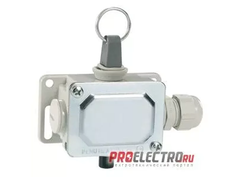 PLNU1AT Концевой выключатель, кольцевой рычаг, 1NO+1NC, Lovato Electric