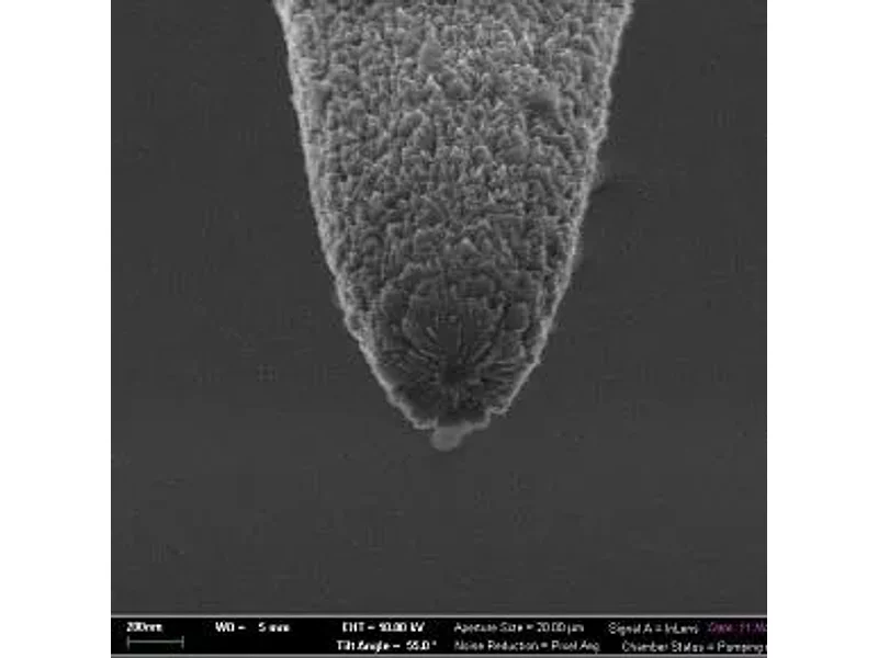 SNOM Fiber Probes to buy