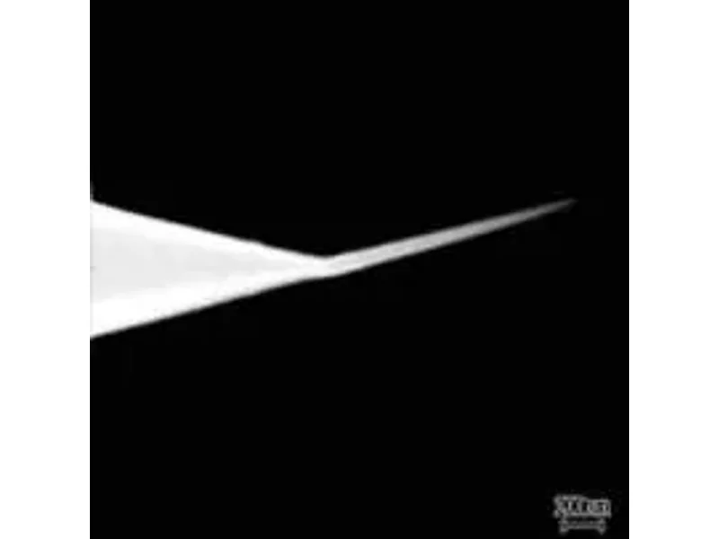 High aspect ratio AFM cantilevers — TipsNano Tips