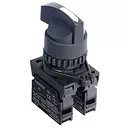 S2SR-S4WBM Переключатель 2 положения с фиксацией, с клювом, A5550001872