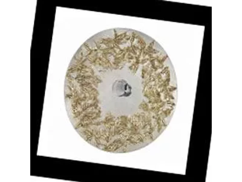Kolarz Luna 0423.61XXL.5.SA, Бра