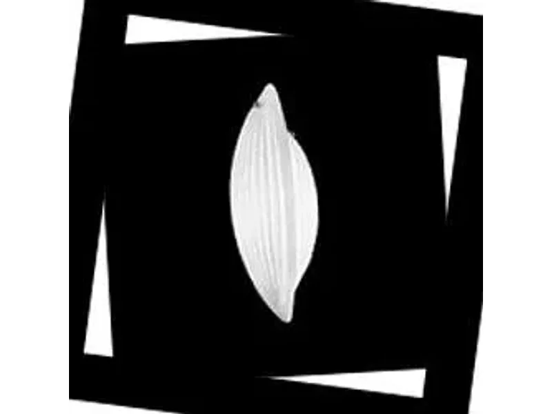 IDL Paradise 430/2ADX bianco latte, Бра