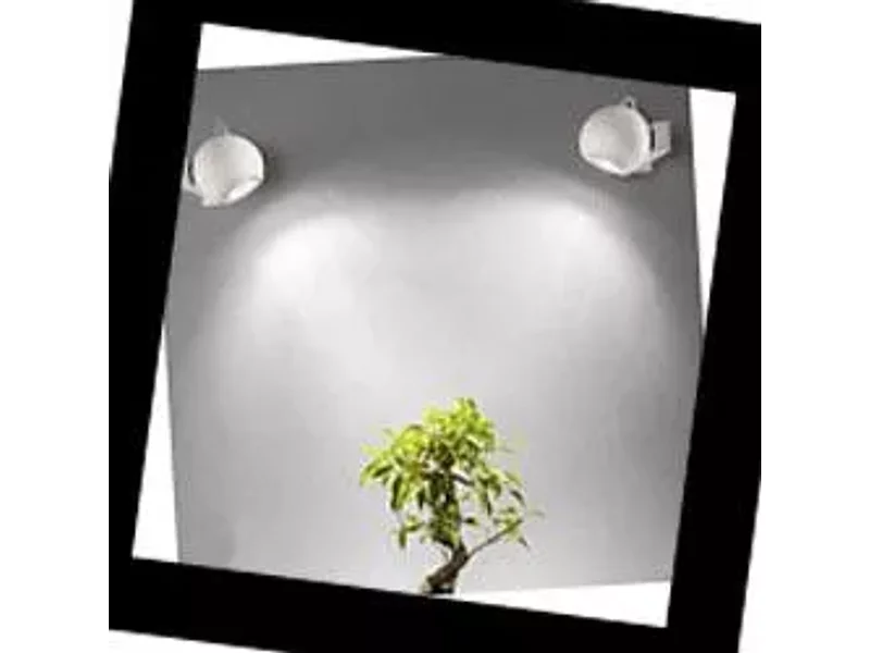 Pelota 7145 Linea Light, Бра