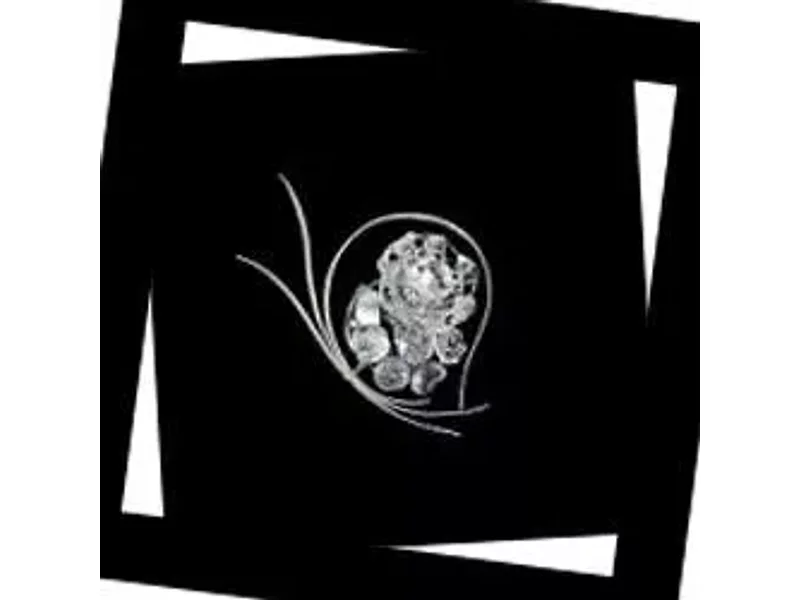 426/1A IDL Bouquet, Бра