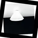 Vistosi Withwhite Withwhite PL G, Потолочный светильник