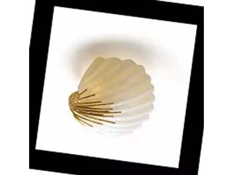 Eurolampart Conchiglia 2269/03PL, Потолочный светильник