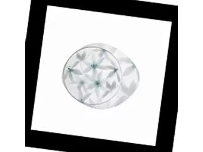 Foscarini 172005B I Wagashi, Потолочная люстра