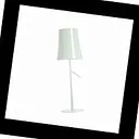 Birdie 221001S 25 Foscarini, Настольная лампа