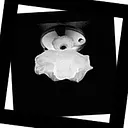 426/1PF IDL Bouquet, Накладной светильник