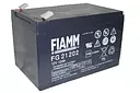 Аккумуляторная батарея FIAMM FG 21202 12/12