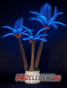 Три светодиодные пальмы P3-210x120